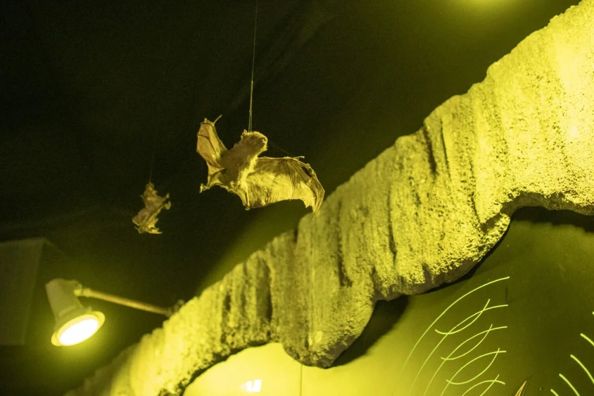 🏞️ 용바위 동굴 (류가시도) 이미지 5